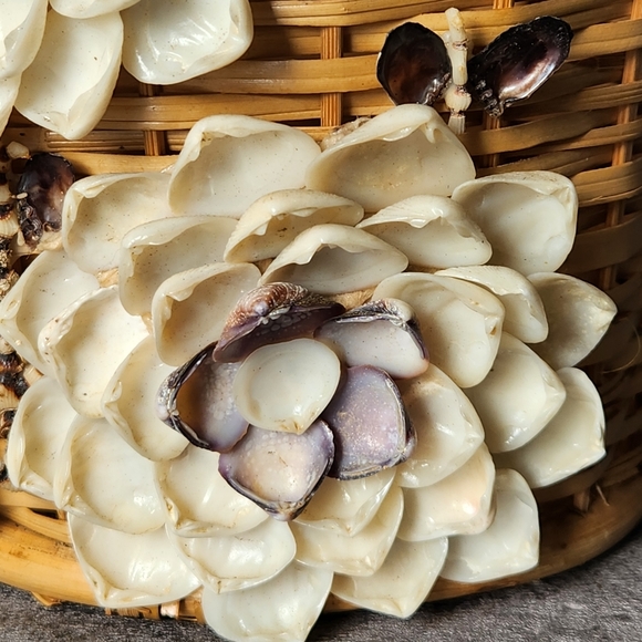 Vintage 70's handmade shell art tri floral Wicker basket vase retro unique - Picture 2 of 12